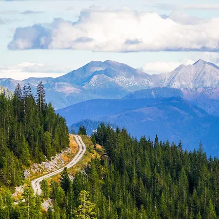 In - Steiermark 37017 Appartement Bad Mitterndorf