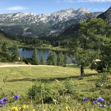 Appartement In - Steiermark 37017 Bad Mitterndorf