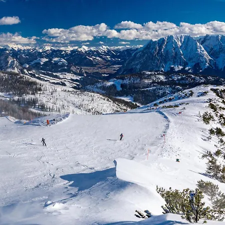 In - Steiermark 37017 *