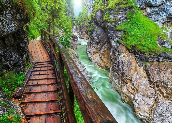 In - Steiermark 37017 公寓 *