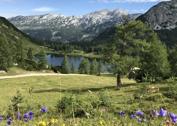 公寓 In - Steiermark 37017 巴德米滕多夫