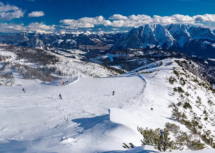 In - Steiermark 37017 *